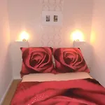 Apartmenthaus Rosenflair *