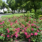 Apartmenthaus Rosenflair Appartamento *