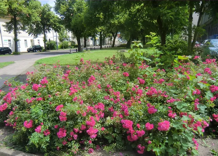 Rosenflair Lejlighed *